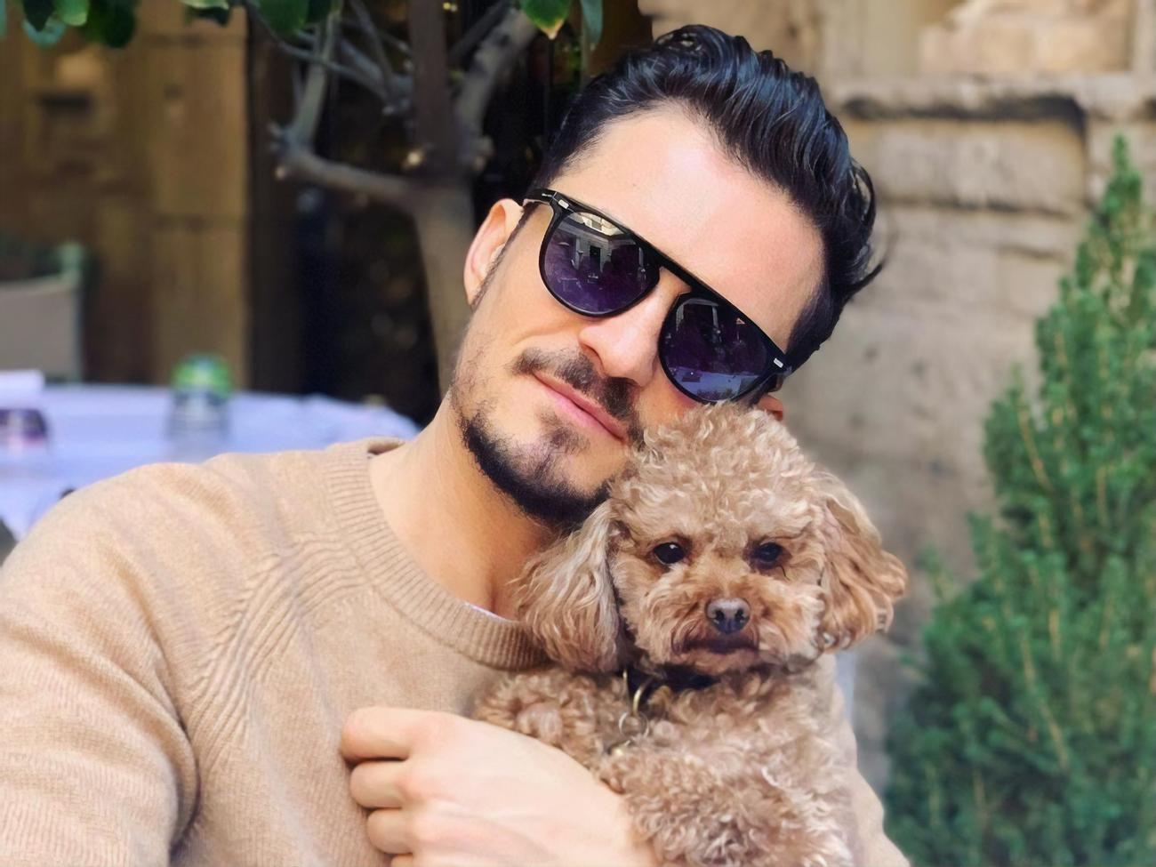 Блум потерял пса Майти в Монтесито, штат Калифорния