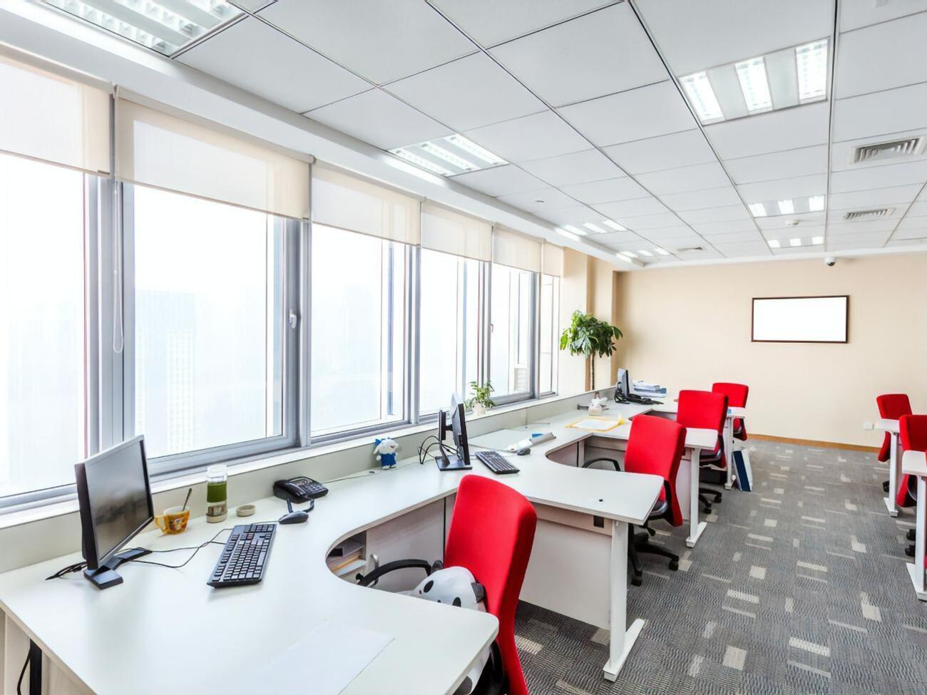 Нынешние руководители управлений смогут принять участие в открытом конкурсе