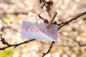 Найбільшу кількість хворих упродовж доби зареєстровано у Львівській області