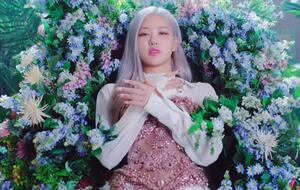 В ролике участницы группы BlackPink танцуют в ярких интерьерах, в отдельных эпизодах показана каждая солистка