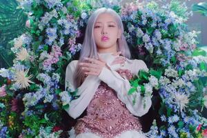 У ролику учасниці гурту BlackPink танцюють у яскравих інтер'єрах, в окремих епізодах показано кожну солістку
