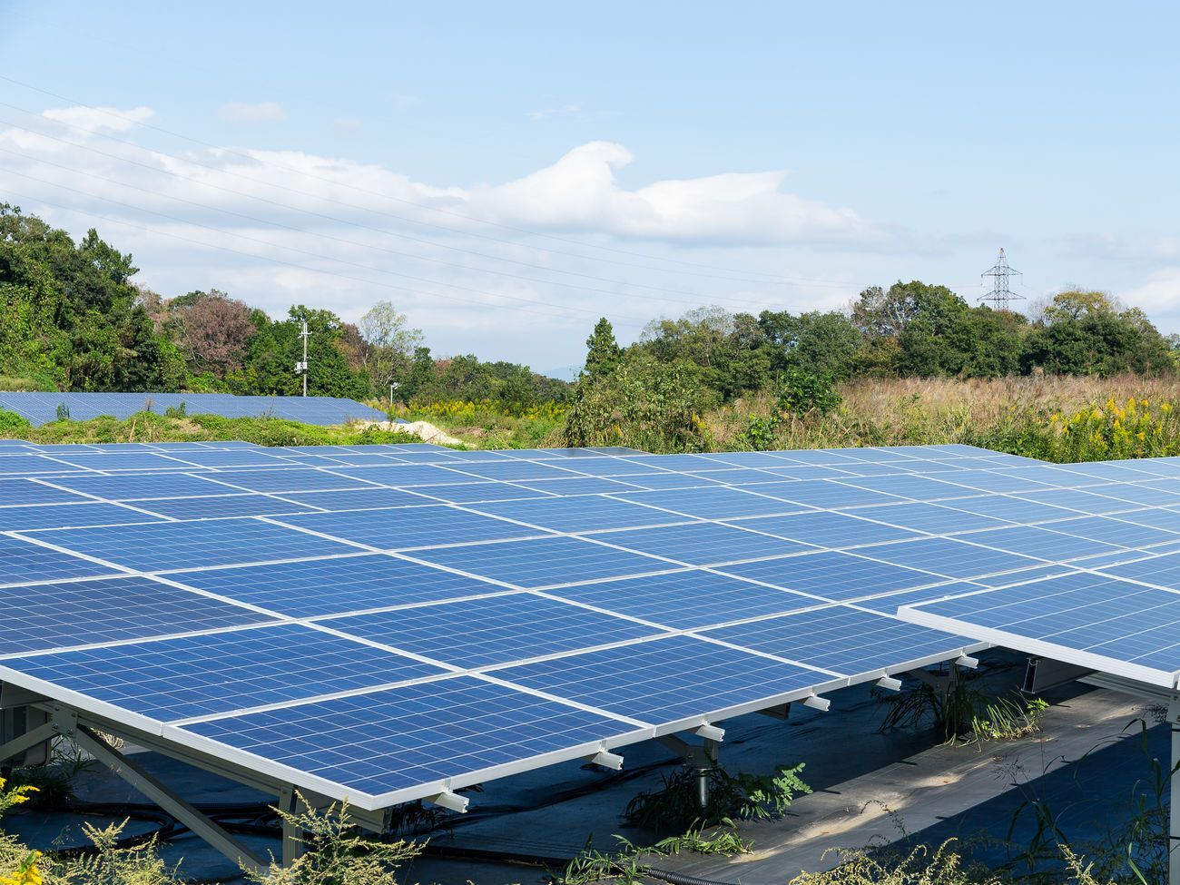 Состояние расчетов на рынке электроэнергии является крайне угрожающим, сказано в письме
