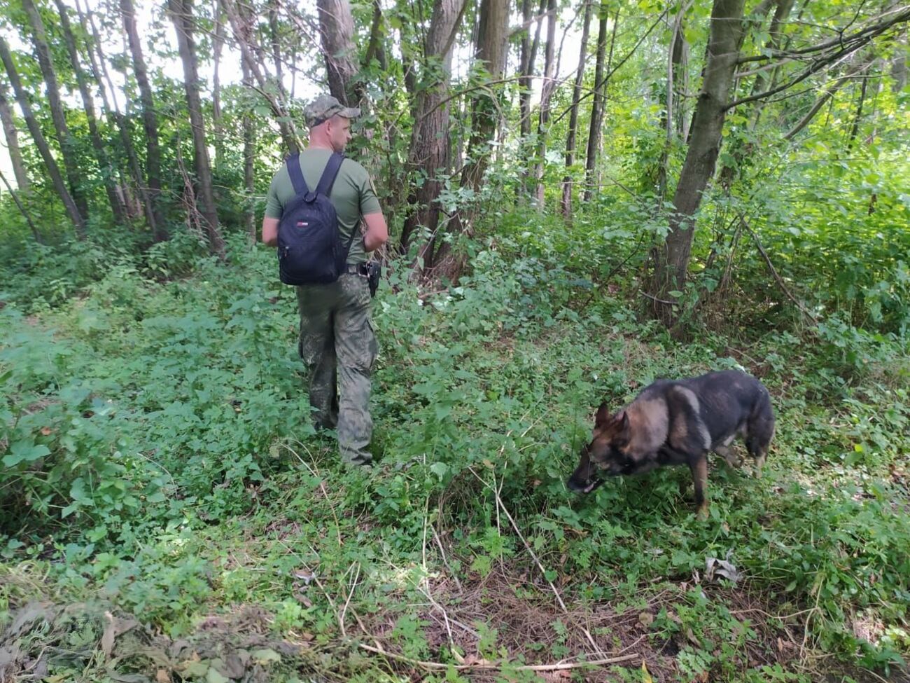 До пошуків дівчини залучили кінолога зі службовою собакою