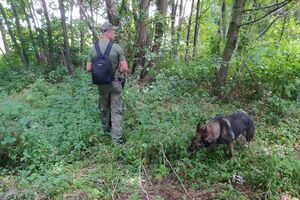 До пошуків дівчини залучили кінолога зі службовою собакою