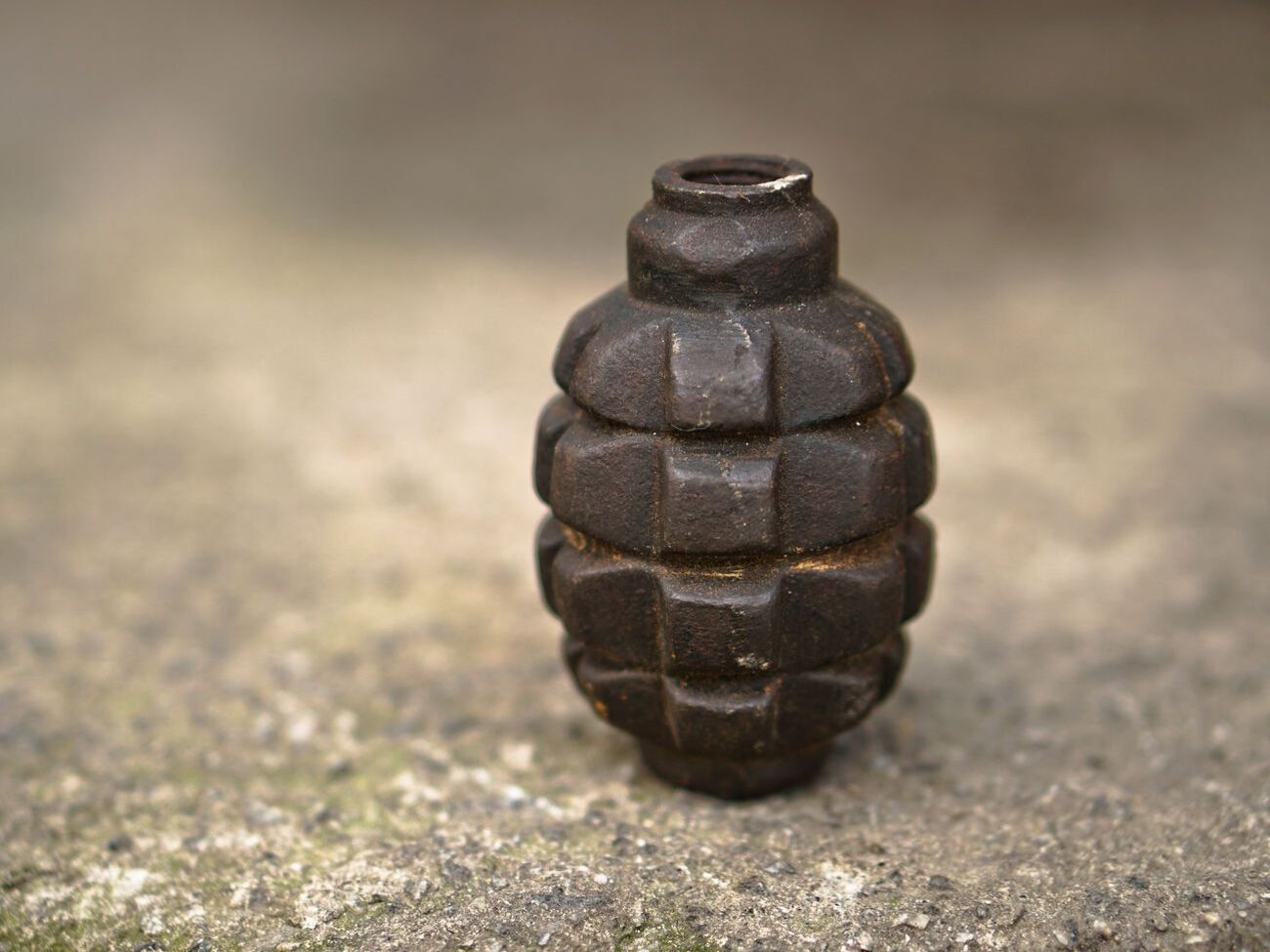 У затриманого вилучили гранату "Ф-1"