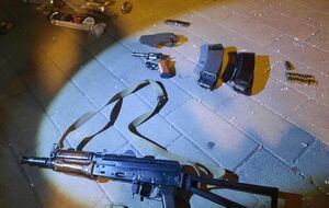 У террориста изъяли огнестрельное оружие и гранаты