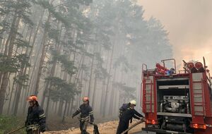 До гасіння пожежі залучили 71 рятувальника