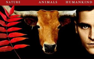 Фильм "Земляне" рассказывает о проблеме эксплуатации животных людьми