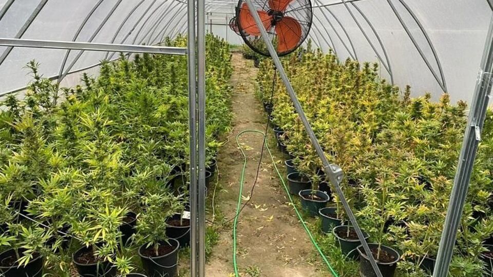 Фермер выращивал, изготавливал и хранил наркотические растения в специализированных лабораторных условиях