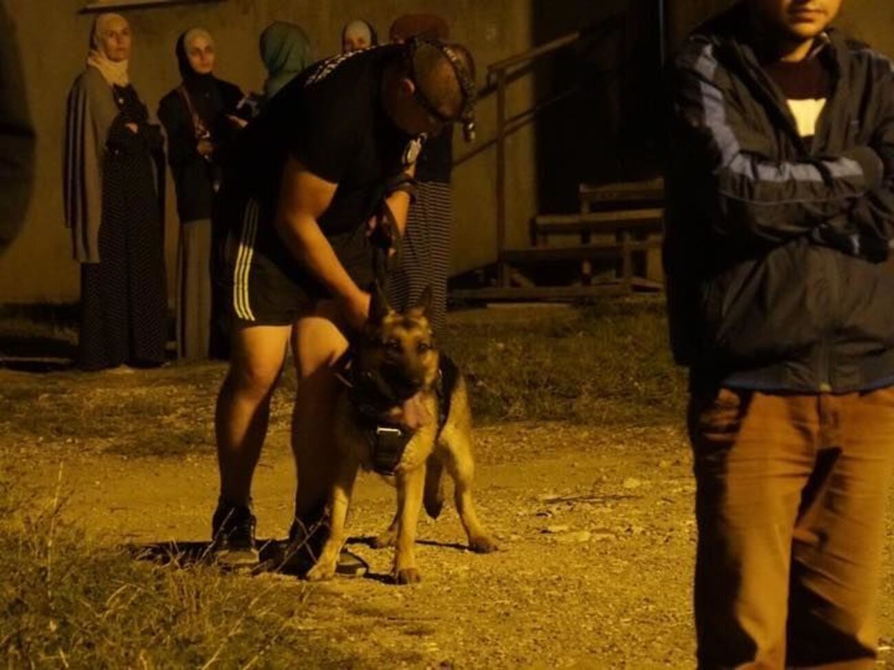 Собака втратив слід, кажуть кінологи