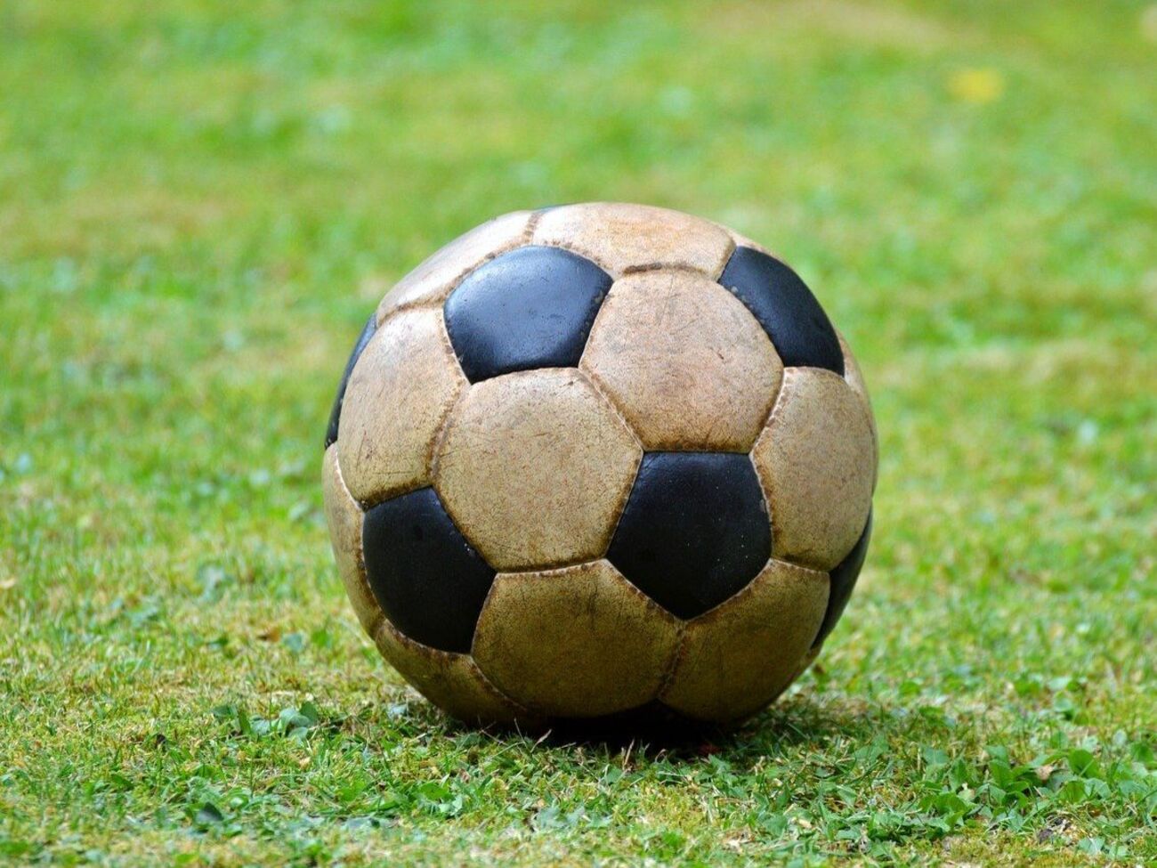 Финал состоится 29 июля