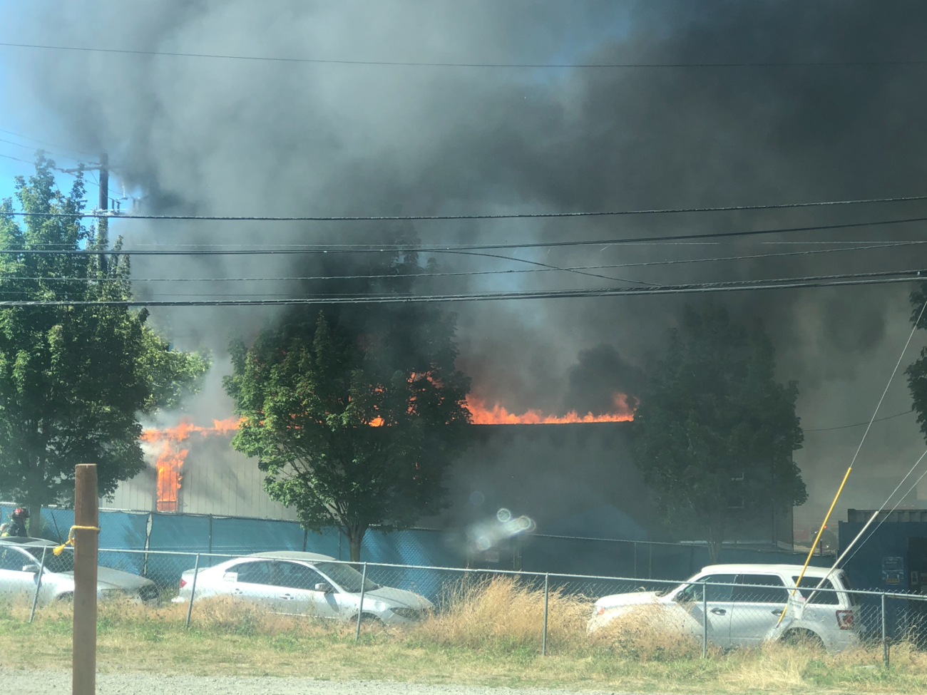 Акции протеста против расизма прокатились по всему миру после смерти афроамериканца Джорджа Флойда