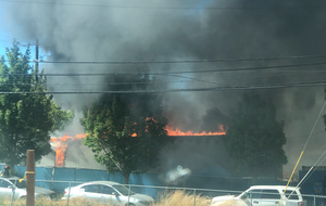 Акции протеста против расизма прокатились по всему миру после смерти афроамериканца Джорджа Флойда