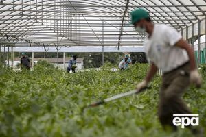 Спалах виник під час збирання врожаю