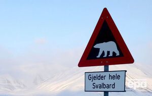 Волна тепла, которая накрыла Шпицберген, уйдет сегодня