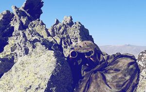 В операції бере участь 86 оперативних груп