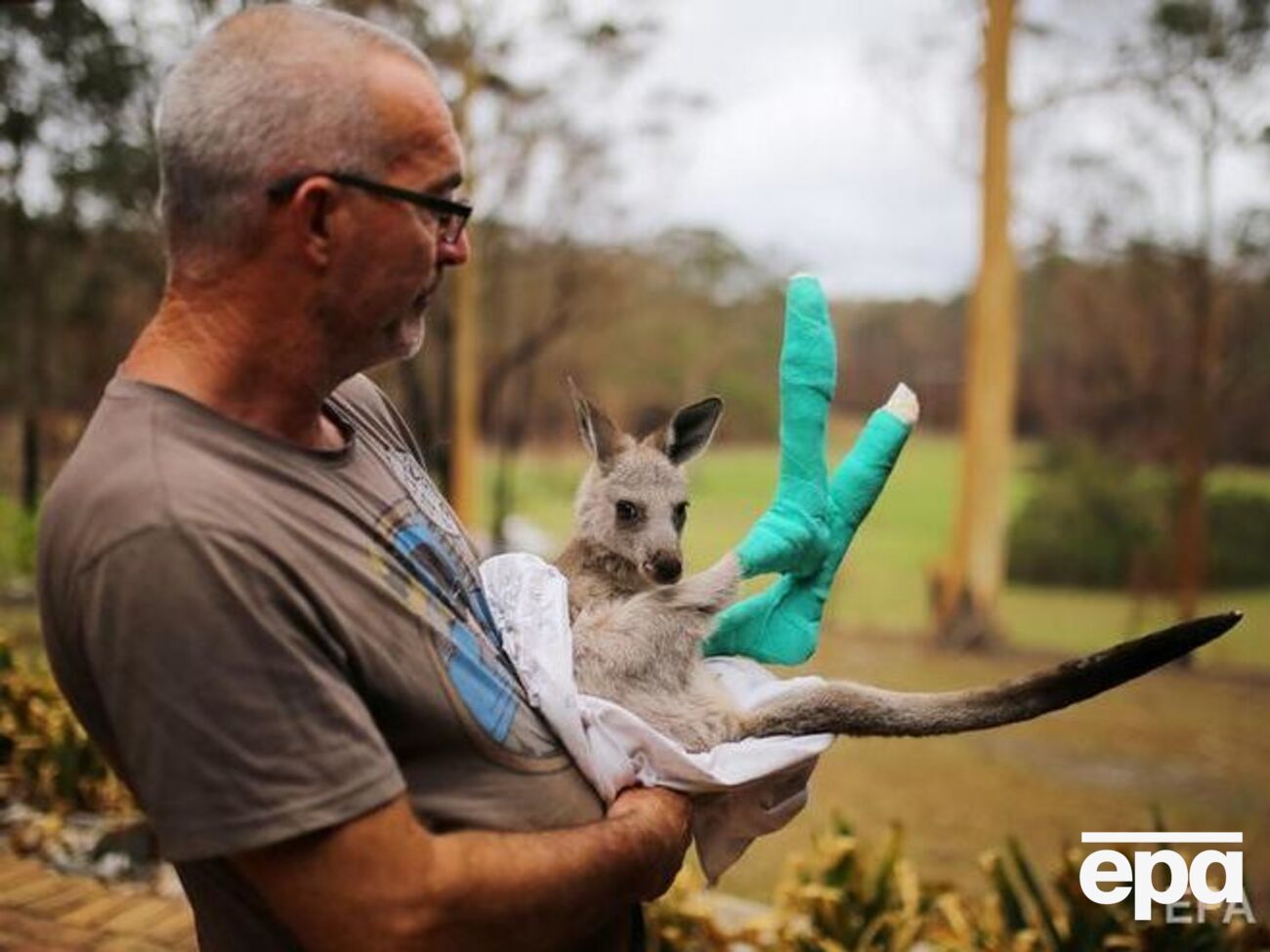 Ученые отметили, что пожары "радикально" могут уменьшить разнообразие животных
