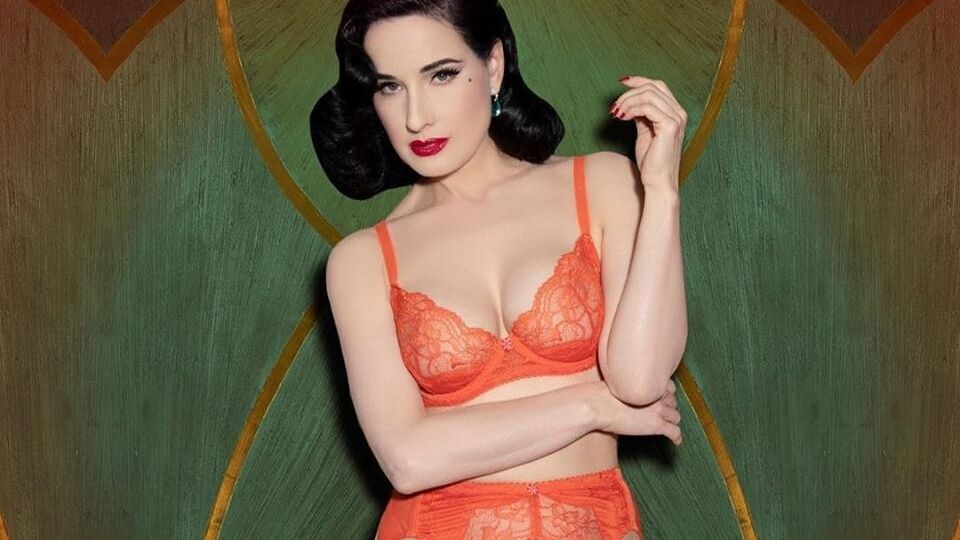 Дита фон Тиз известна как актриса и постановщик собственных фетиш-шоу