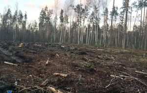 21 человеку уже объявили о подозрении