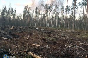 21 людині вже оголосили про підозру
