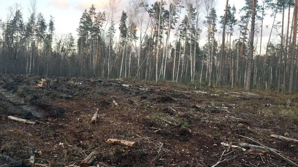 21 людині вже оголосили про підозру