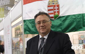 Посол Венгрии считает, что его страна не видит прогресса в обеспечении прав национальных меньшинств в Украине