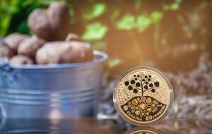 Климатические изменения могут укрепить позиции конкурентов на мировых рынках и усилить колебания цен на продовольствие, отмечают в НБУ