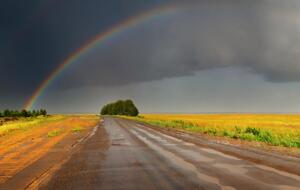 В российских соцсетях комментируют гомосексуальный подтекст радуги