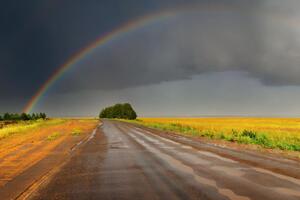 У російських соцмережах коментують гомосексуальний підтекст веселки