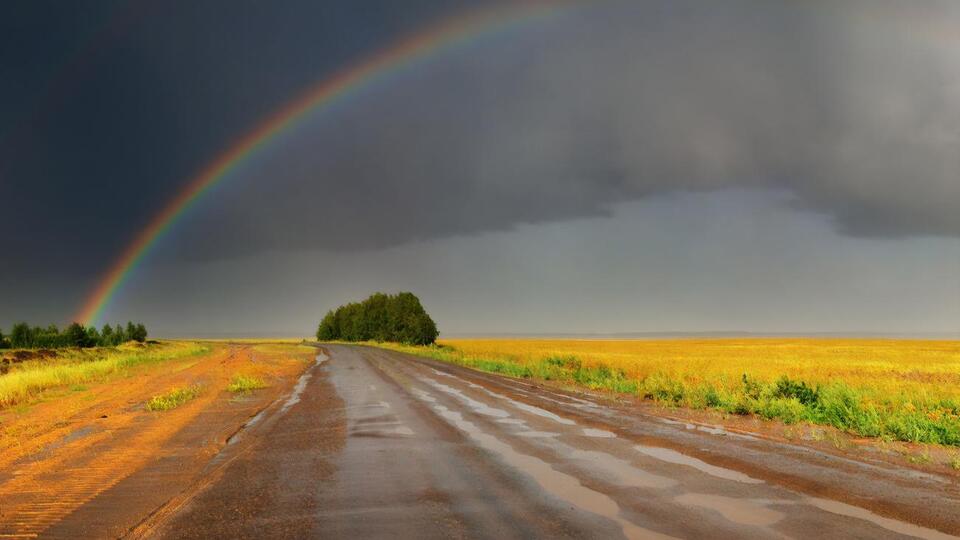 У російських соцмережах коментують гомосексуальний підтекст веселки