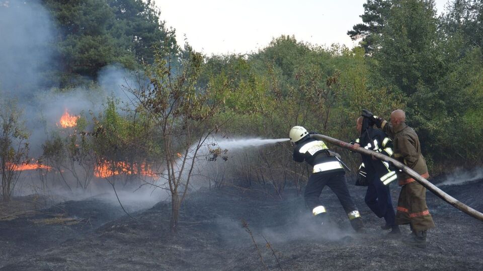 Далеко не завжди влада російських регіонів вважає за потрібне гасити пожежу в тайзі