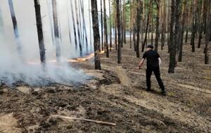 У гасінні задіяно рятувальні загони пожежників