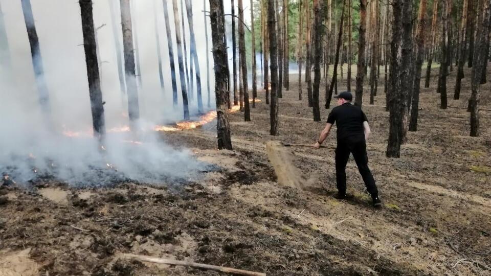 У гасінні задіяно рятувальні загони пожежників