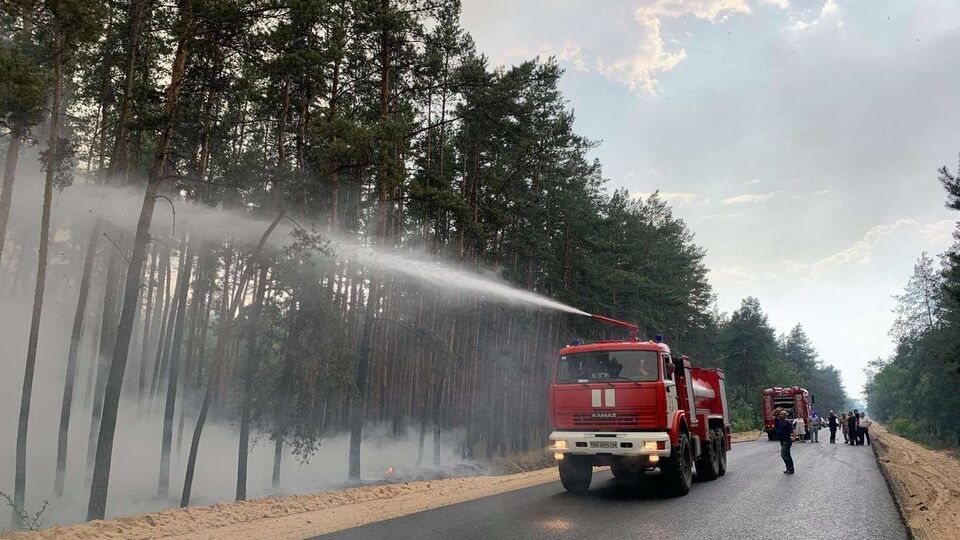 У Новоайдарському районі горять суха трава і дерева