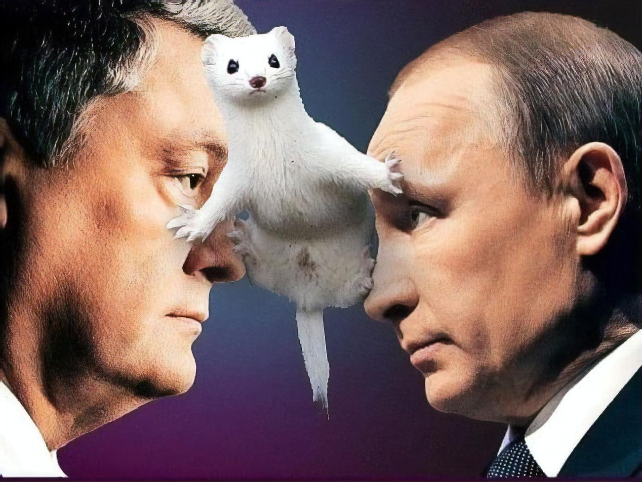 Фотожаба на запись якобы разговора Путина и Порошенко