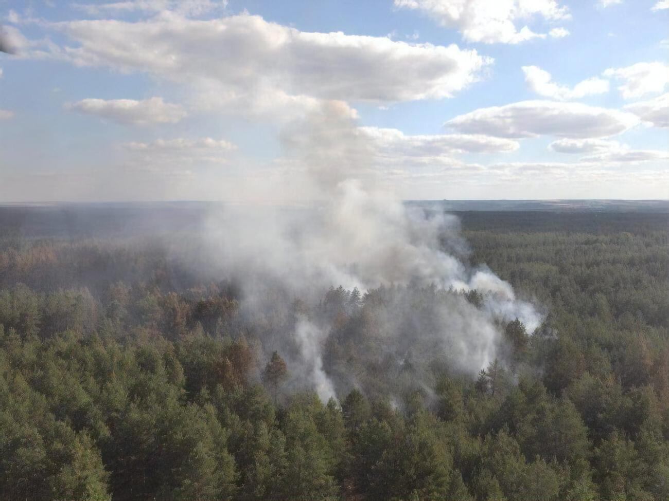 Лес в Луганской области горит с 6 июля