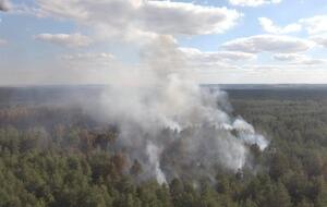 Ліс у Луганській області горить із 6 липня