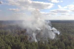 Лес в Луганской области горит с 6 июля