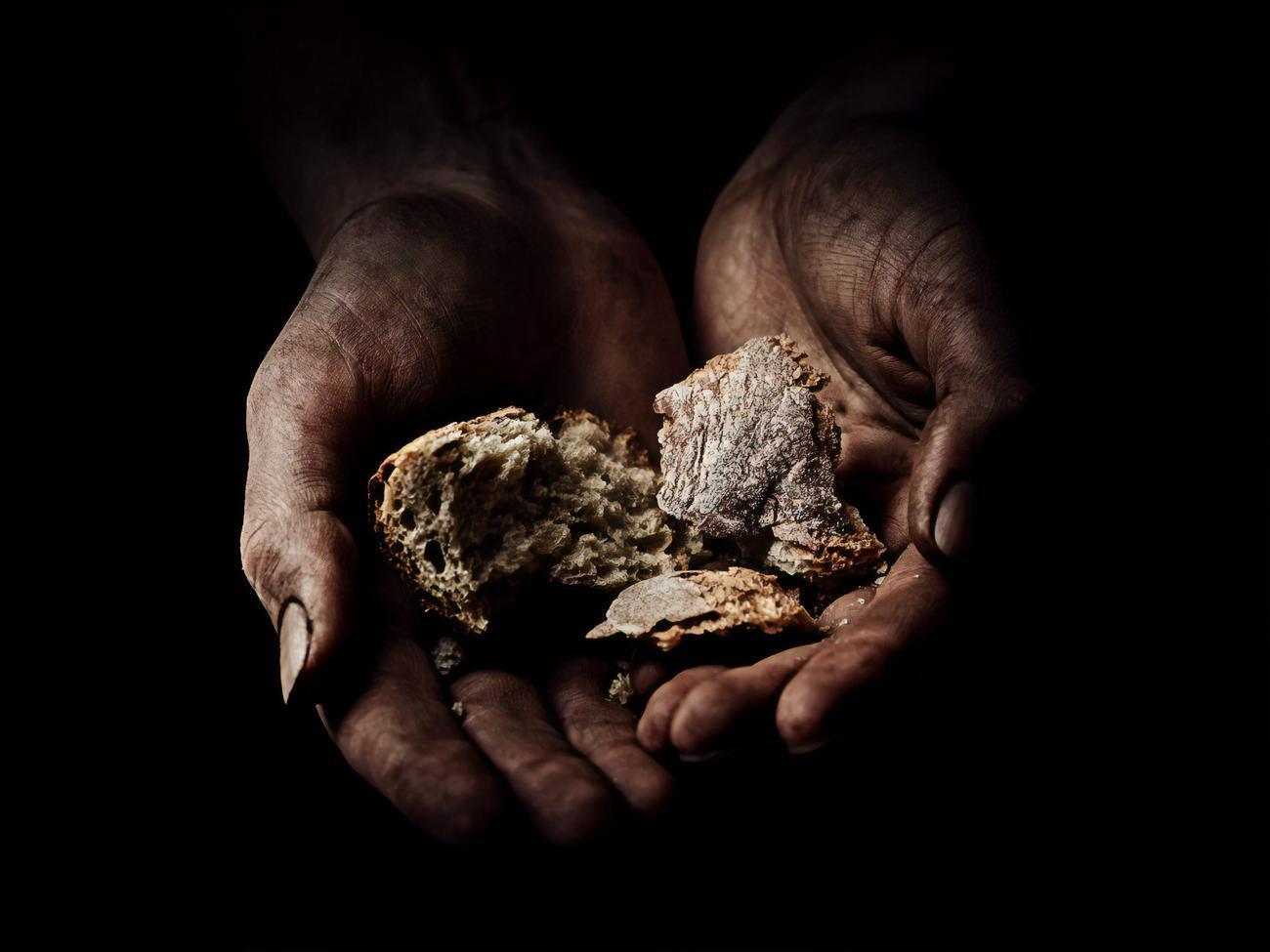 Организация определила страны и регионы, где продовольственный кризис усугубился из-за пандемии: Йемен, Демократическая Республика Конго, Афганистан, Венесуэла, Эфиопия, Судан, Южный Судан, Сирия и Гаити