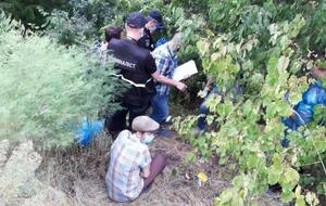 Убийство девочки произошло на почве сексуальных домогательств