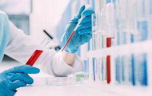 Общее количество инфицированных в Черновицкой области с начала эпидемии составляет 7110 человек