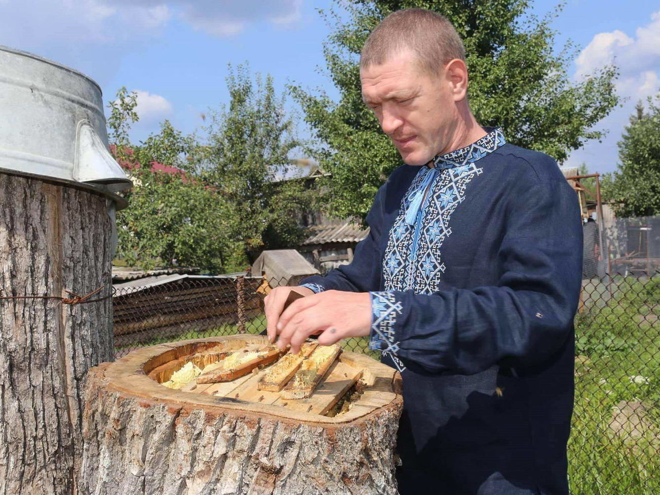 Бортный мед собирают из ствола живого дерева