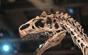 Британские ученые обнаружили новый вид динозавров