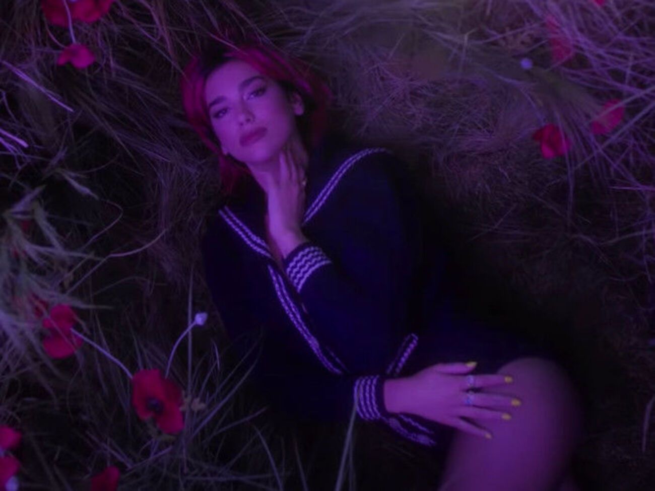 Дуа Липа позировала в поле