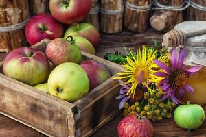 Считается, что 19 августа яблоки имеют особенный вкус и свойства