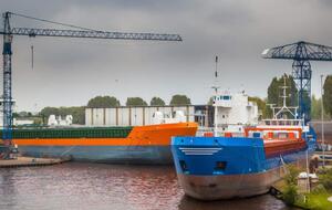 Інспекцію було створено в липні 2001 року