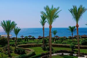 Египет вводит обязательное ПЦР-тестирование туристов