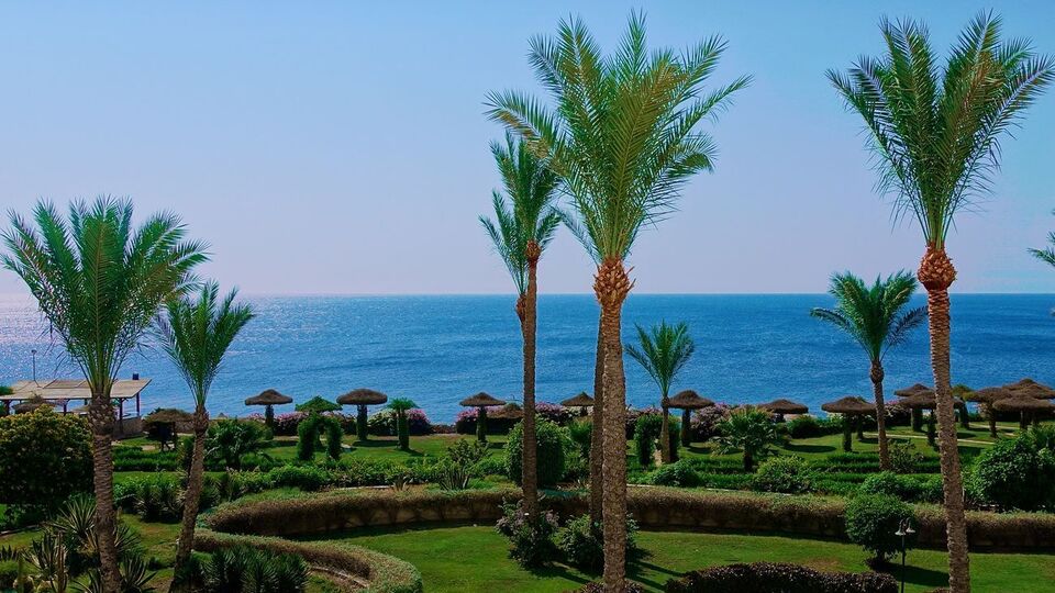 Египет вводит обязательное ПЦР-тестирование туристов