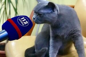 Телеканал проверяли неоднократно