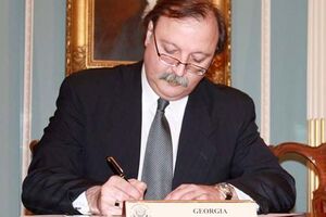 Вашадзе: Саакашвили действительно знает, что надо делать